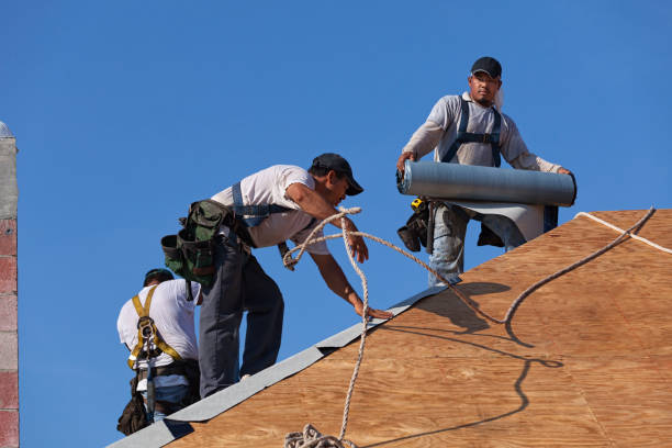 Best Metal Roofing Contractor  in Belmont, WI