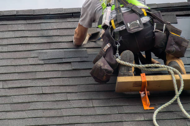 Professional Roofing Contractor in Belmont, WI