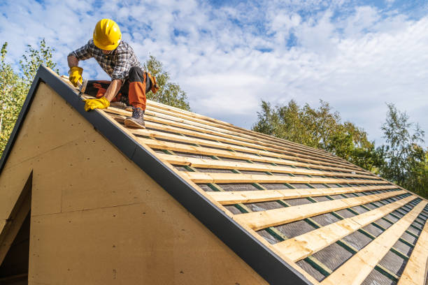 Roof Gutter Cleaning in Belmont, WI