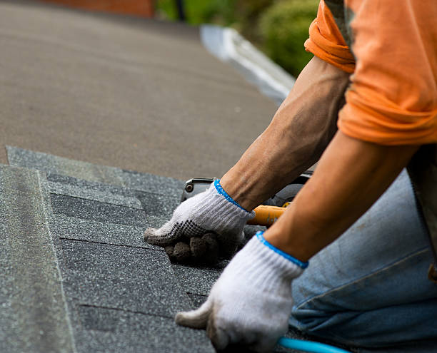 Best Shingle Roofing Installation  in Belmont, WI