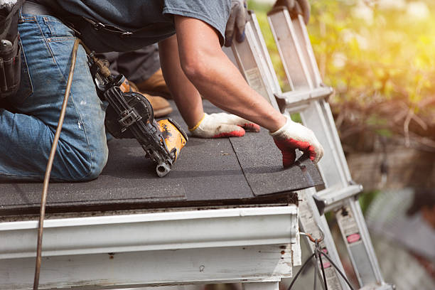 Professional Roofing Contractor in Belmont, WI